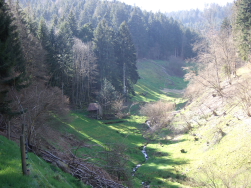 Idyllischer Schwarzwaldtaleinblick