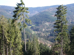 Blick hinunter aufs Murg-Tal ( Forbach)