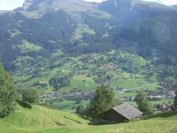 Blick aus der Bahn auf Grindelwald