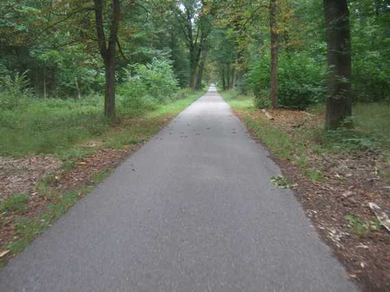 Friedrichstaler Allee, Karlsruhe Hardtwald