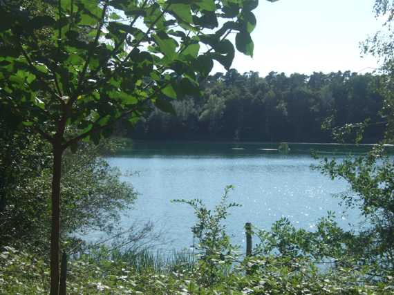 Waldsee im Hochholz vor Walldorf