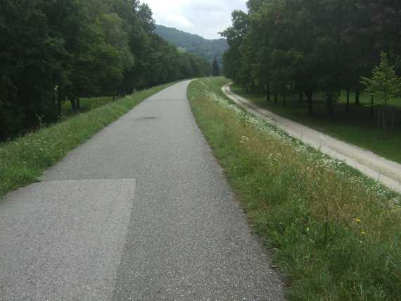 Auf dem Hochwasserdamm hinter Linz