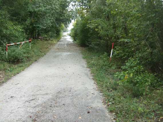 und noch ein Hochwasserstrassenende kurz vor Wien