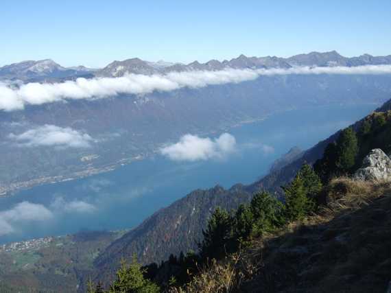 Blick auf Brienzer See