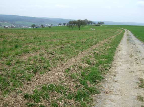 Michelstadt in Sicht, letzte Gerade