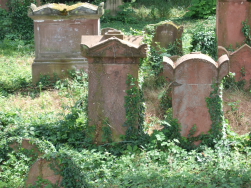 Filmreifer "Grusel-Friedhof" hinter Essingen