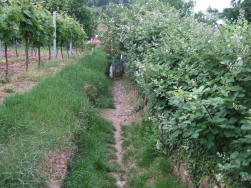 Eine hohle Gasse: wir krzen ab