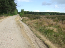 ... auf Sandpisten durch die Heide ...