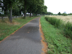 Teils an Fahrstrassen entlang