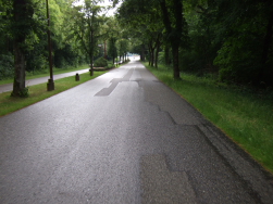 Am Ende der Allee ahnt man erstmalig den Rhein