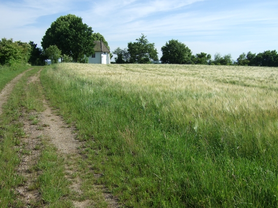 Blick zurck auf Wendelinskapelle