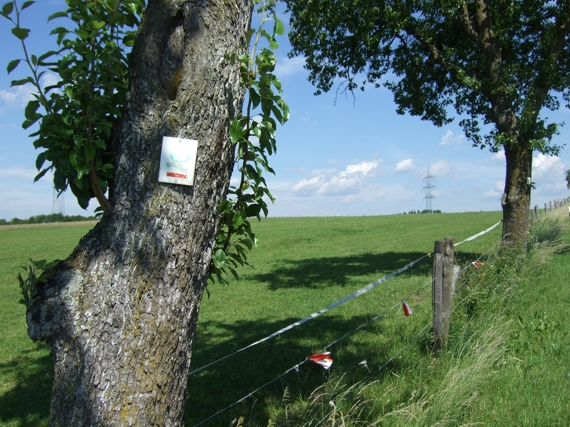 Kurzzeitig auf dem Baden-Wrthemberg-Wanderweg