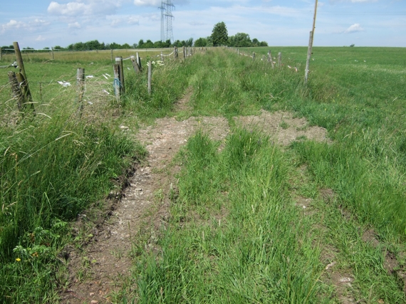 Feld- aber Wanderweg. In welches Meer geht das Wasser?