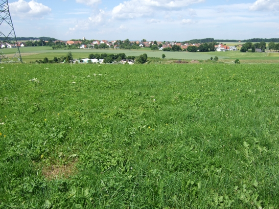 Hoch-Emmingen taucht wieder auf