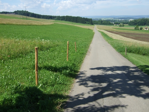 Ortsausgang Hoch-Emmingen