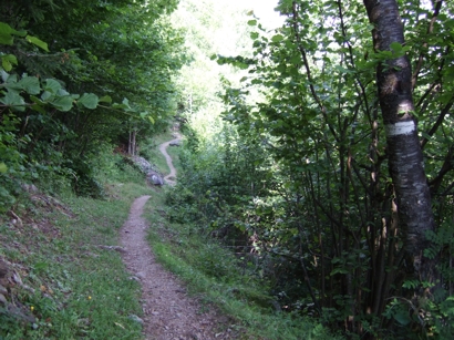 Nach Les Houches geht's nochmal bergauf