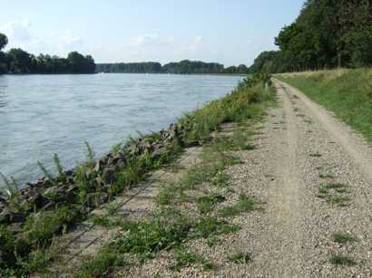 Rheinschleife hinter Altluheim