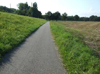 an der Fahrstrasse Richtung Ketsch