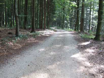 den Dreifaltigkeitsberg hinunter