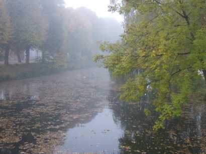 die stehende Donau in Trossingen