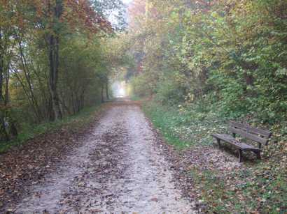 Herbstlaub, Tau und Stimmungen