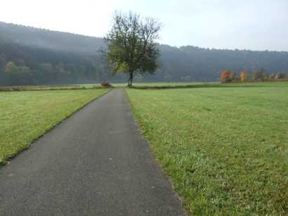 an dem Baum geht's links zur Versickerung