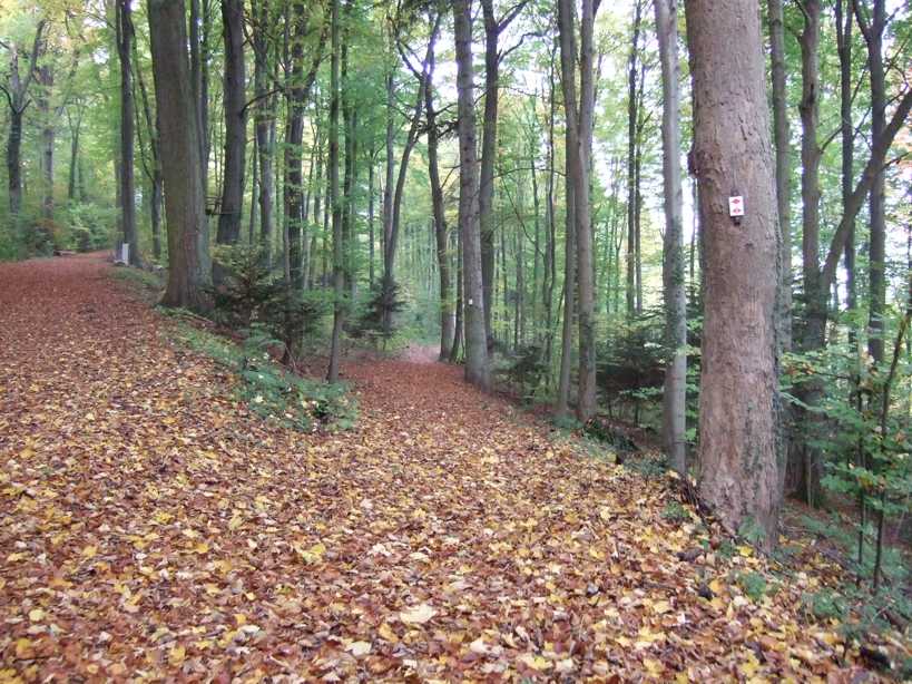 einfach den schneren Weg nehmen