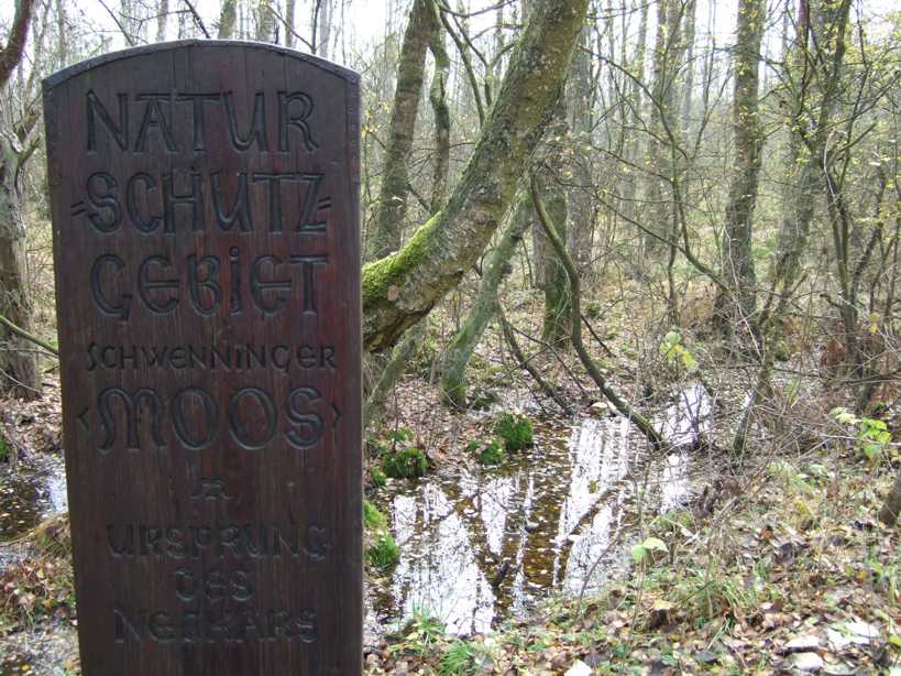 Schwenninger Moos, der Neckar Ursprung