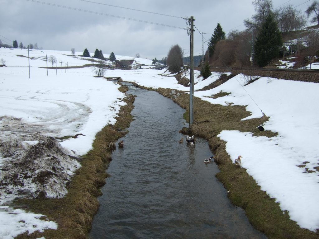 berquerung der jungen Brigach