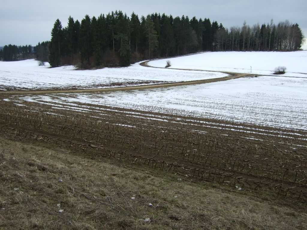 im Zickzack durch die Kalkgrube