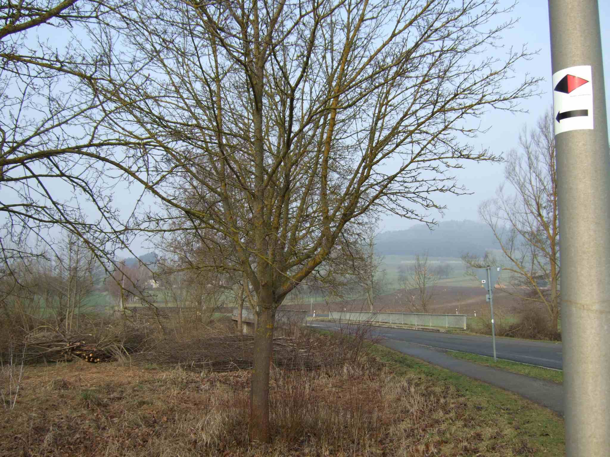 mit dem Ostweg aus dem Ort raus