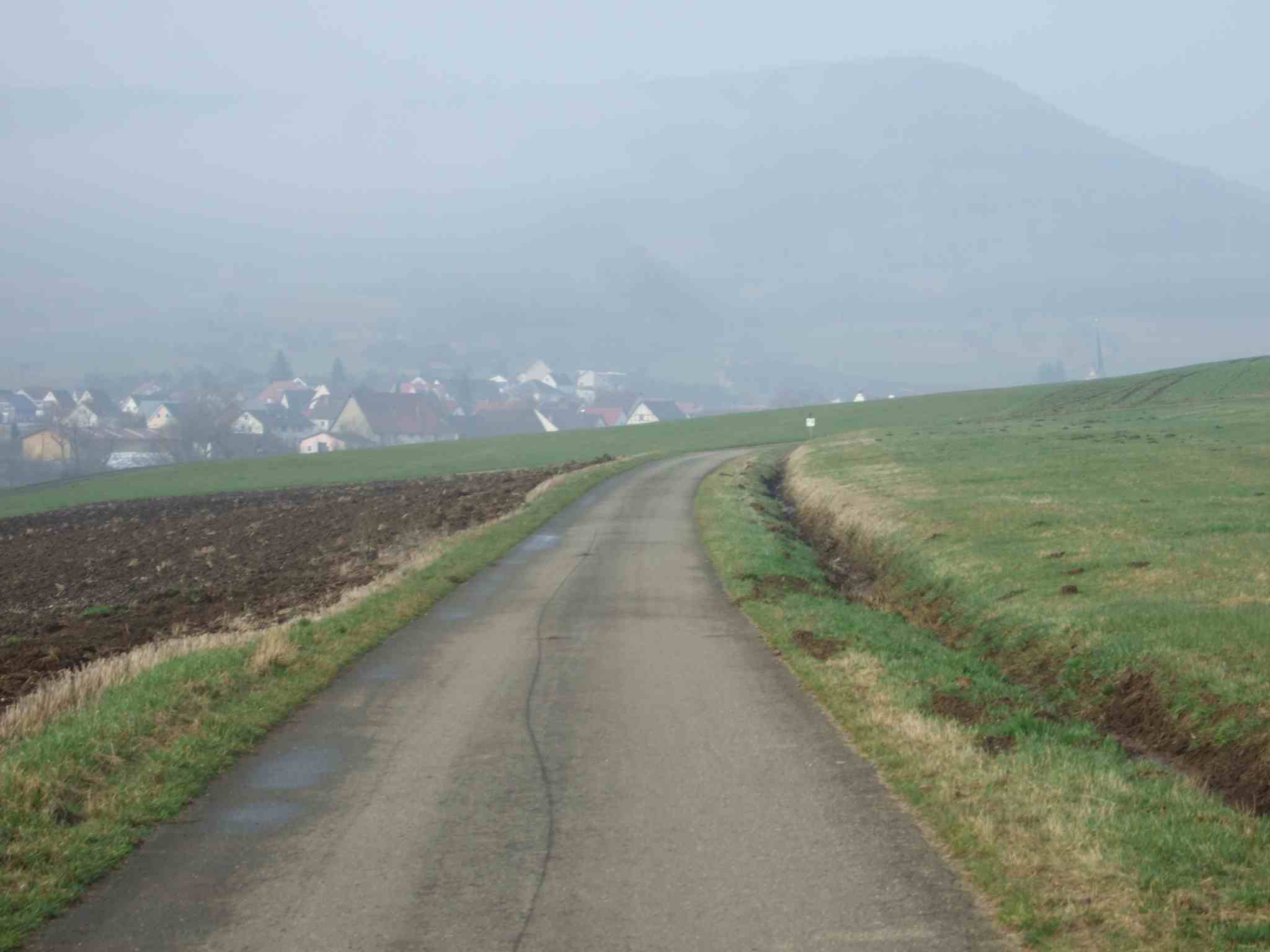 aus dem Donauradweg, im Hintergrund der Kapf