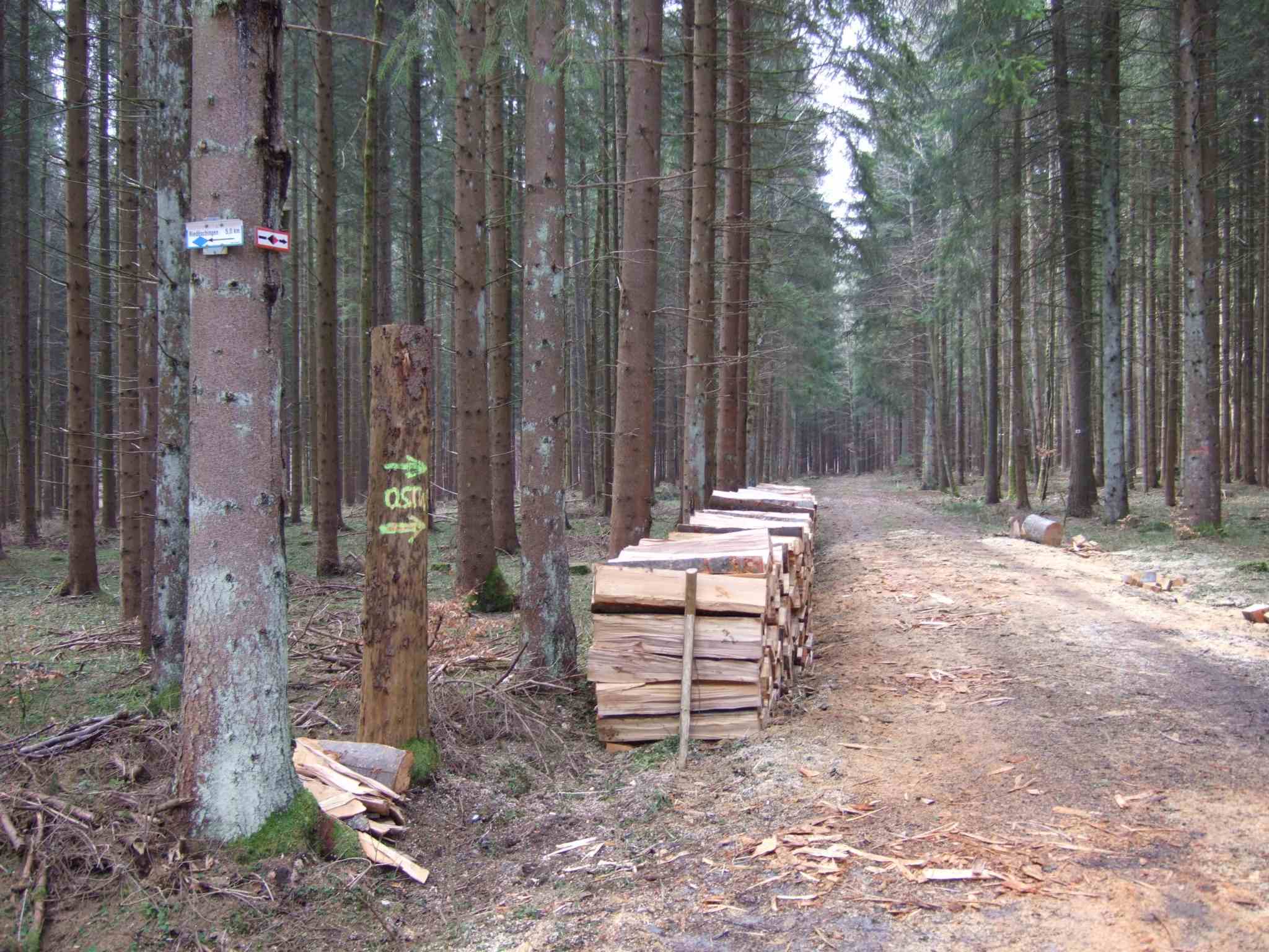 wir folgen weiter dem Ostweg