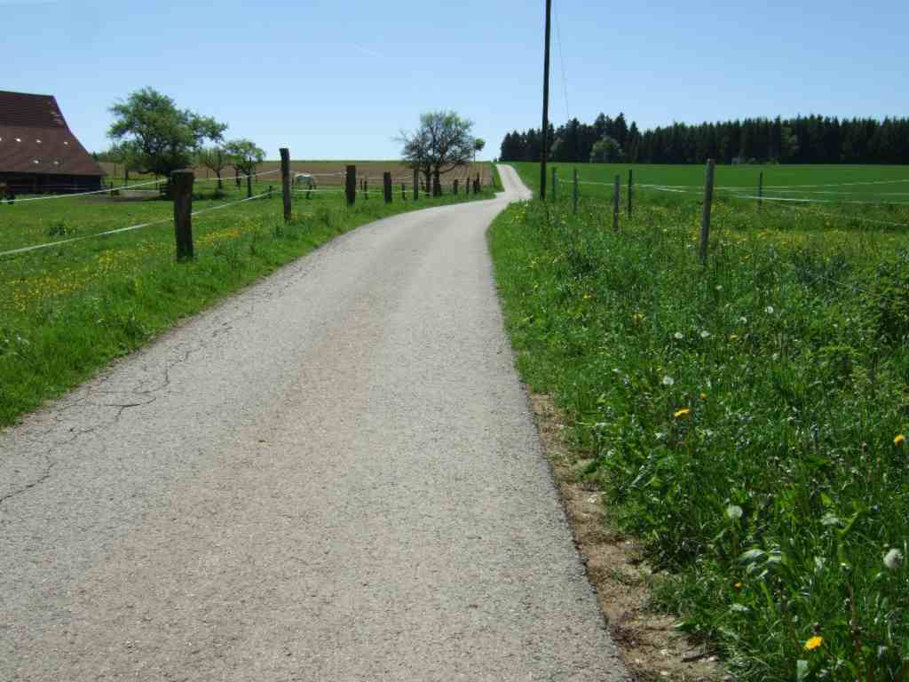 Wiesen und Weiden berwiegen