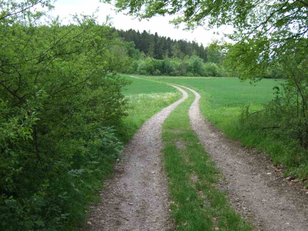 meist Wald- und Feldwege