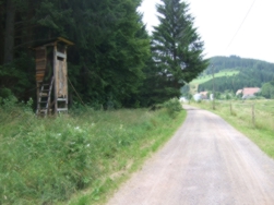 Aussicht auf Hammereisenbach