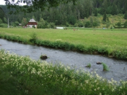 Schwarzwaldhuserstile in Sicht