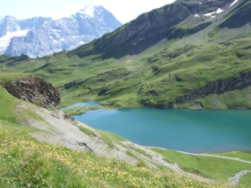 hier am Bachalpsee