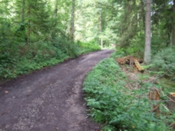 Waldweg, unten die Wutach