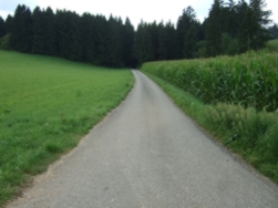 vom Feld in den dunklen Wald