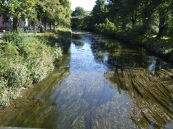 die Brigach in Donaueschingen