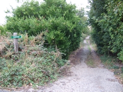 der Footpath ins EngLAND