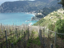 Monterosso aus der Ferne