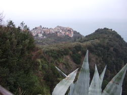 Corniglia kommt nher