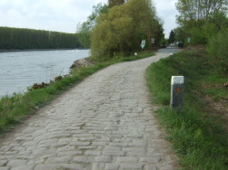 und auf die Altrheininsel vor Ginsheim