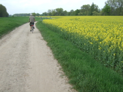 ... und schnen Wiesenblicken