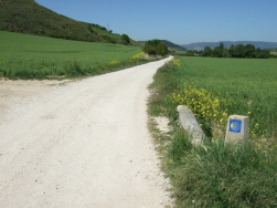 den Bergen aus dem Weg gehen, um sie herum