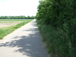 am Rehbach nach Limburgerhof