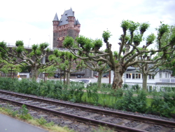 Nibelungenbrcke in Worms