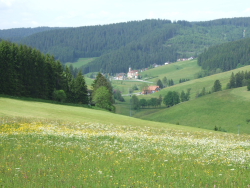 Blick auf Rohrbach